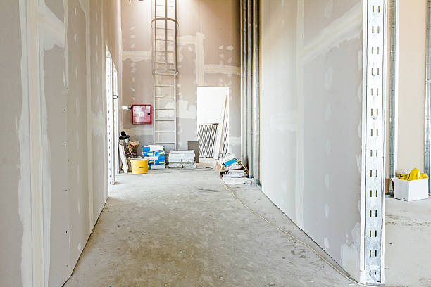 Mold Documentation for Insurance Claims in Cumberland Center, ME